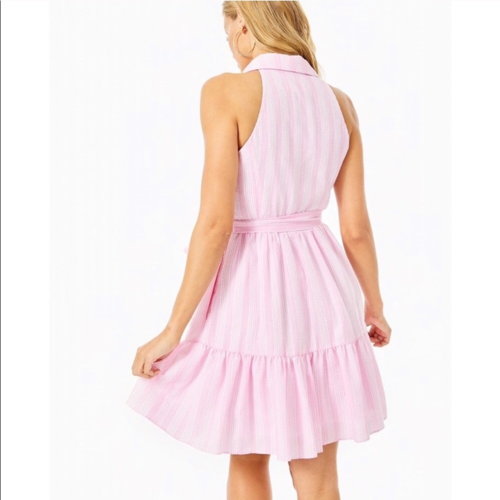 Lilly Pulitzer Trisha dress - Picture 9 of 10